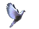 Alternative logo - take a look...  music, CD, record,new,jazz,rock,blues,classic,PUNK,CD-AUDIO, indie, real audio,wav,rays@syndir.com, reproduction,mastering